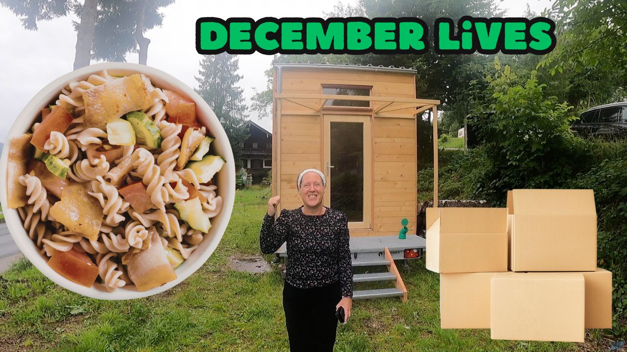 Live Program December 2025