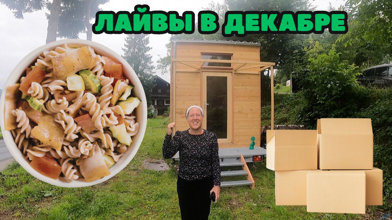 Программа лайвов — Декабрь 2025