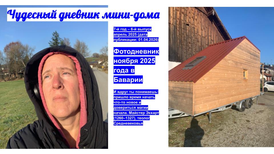 Чудесный дневник мини-дома – ноябрь 2025 как фотодневник